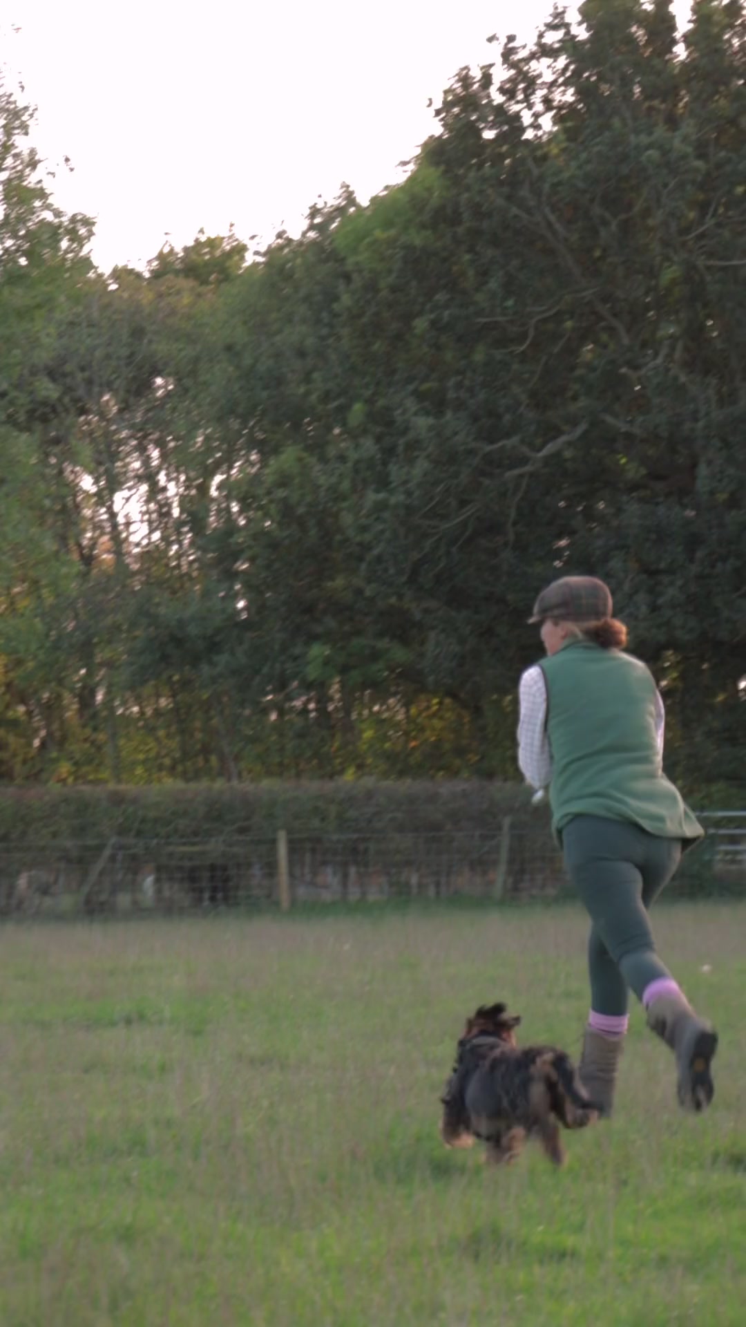 No Barking — Social Content